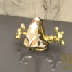 listing-video-1