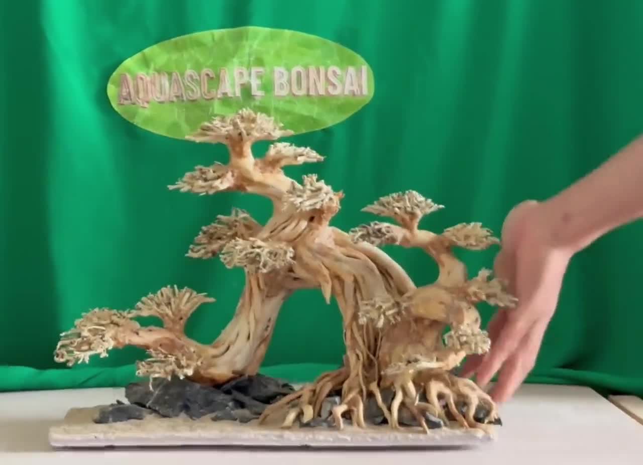 流木アクアスケープ盆栽木水槽樹植物岩洞窟アクアスケープ流木魚水槽