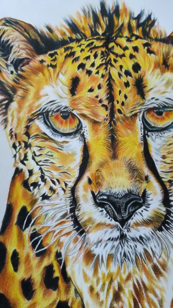 計測された本能｜オリジナルチーター画｜世界に一つだけの野生動物
