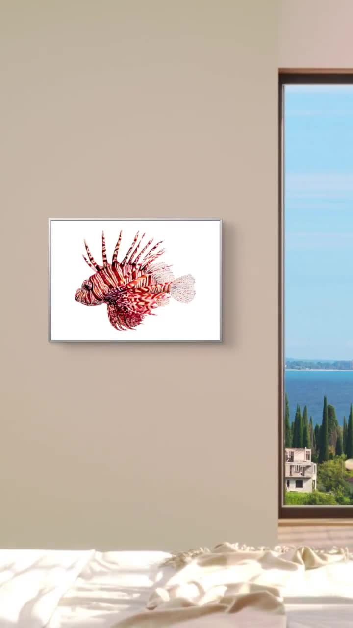 ミノカサゴの水彩画アートプリント：海の魚のイラストの壁飾り - Etsy 日本