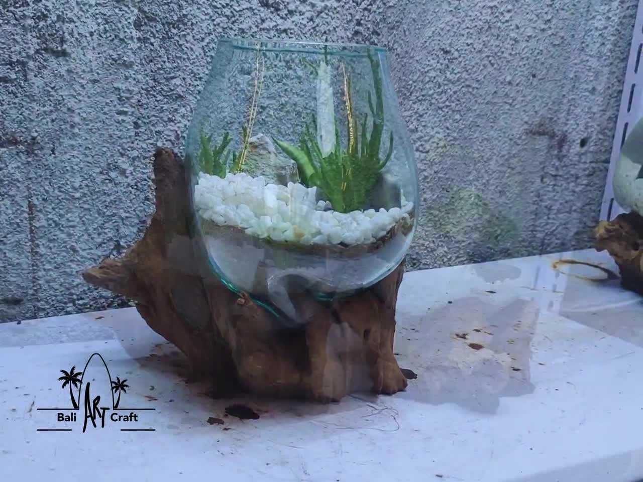 吹きガラス製水槽：1ガロン（約3.8リットル）流木入り水槽 - Etsy 日本