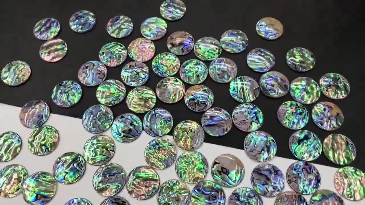 天然アワビ貝殻（バラ売り）30mm 35mm 40mm - Etsy 日本