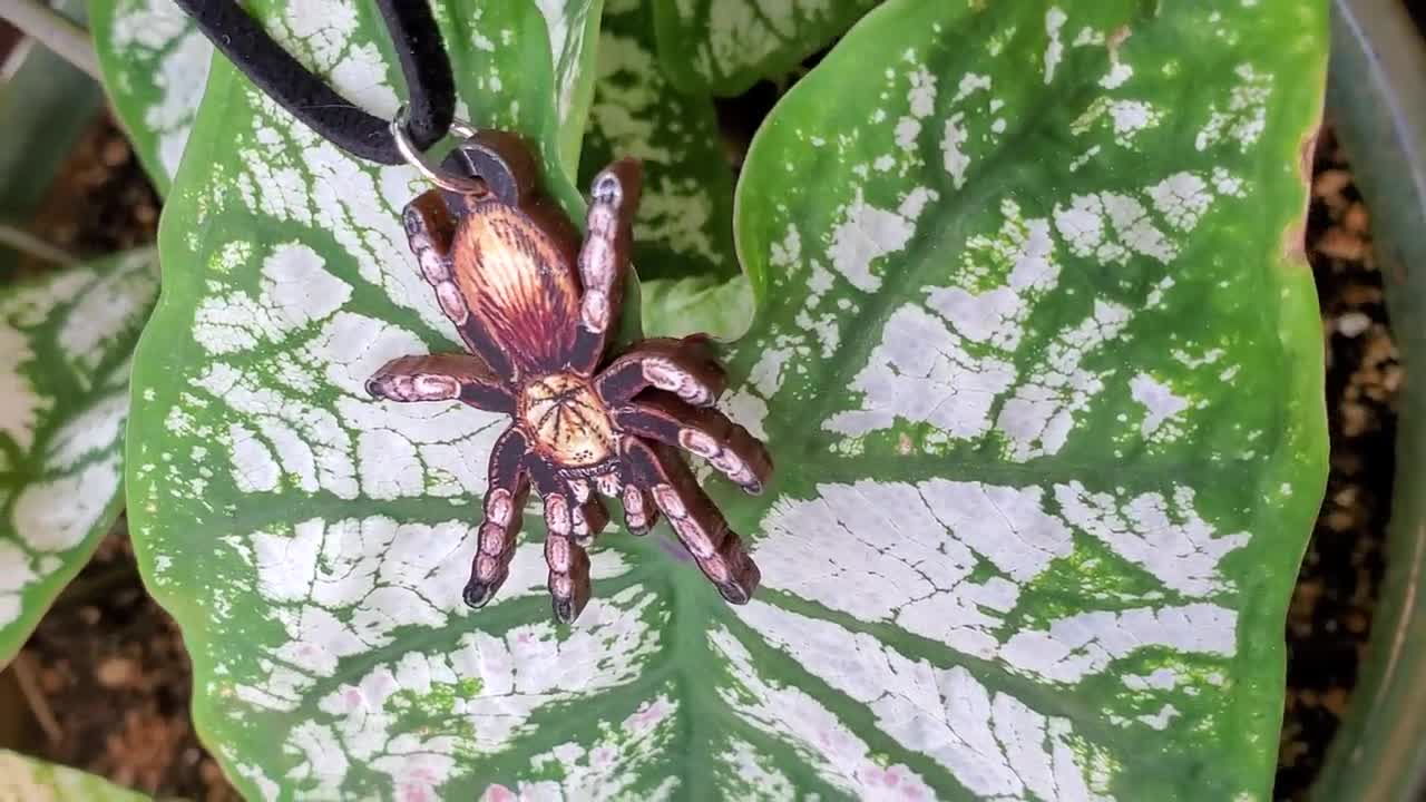 Arizona Blonde Tarantula - Aphonopelma Chalcodes - Wooden Pendant