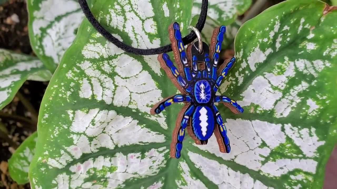 グーティサファイアタランチュラ - P. Metallica - 木製ペンダントと