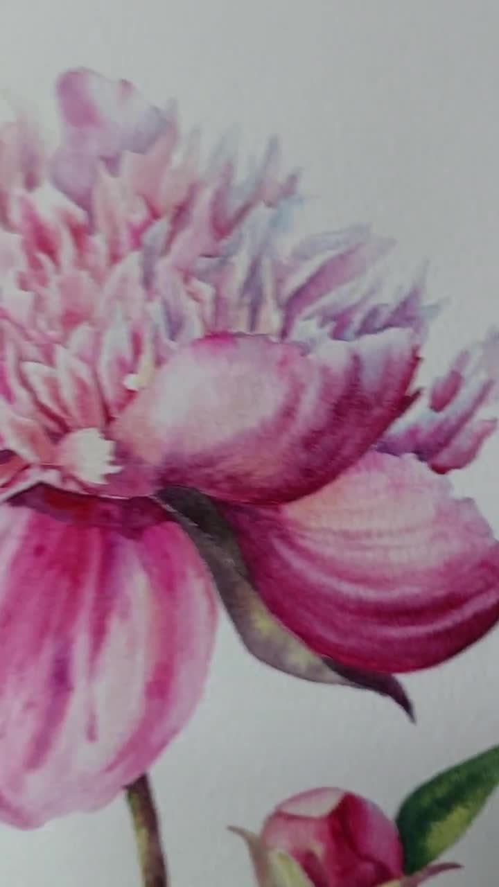 オリジナルの水彩画、ピンクの牡丹、植物画、花の静物画 - Etsy 日本