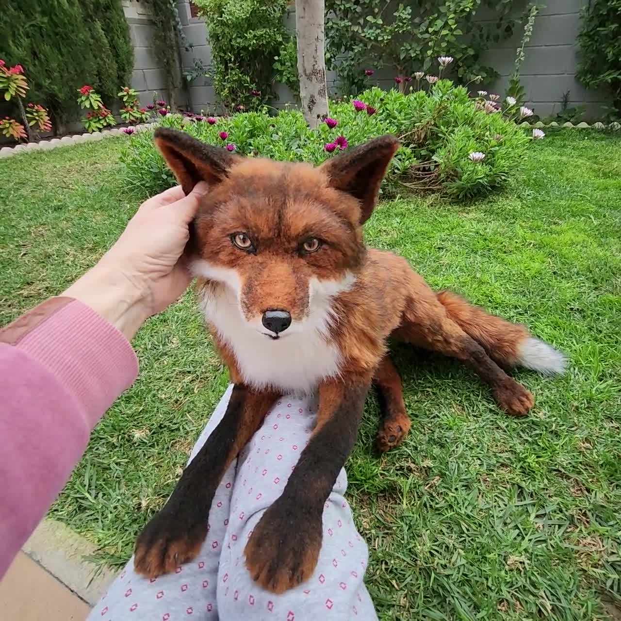 キツネのリアルなおもちゃ赤ぬいぐるみ剥製ペットの肖像画野生犬