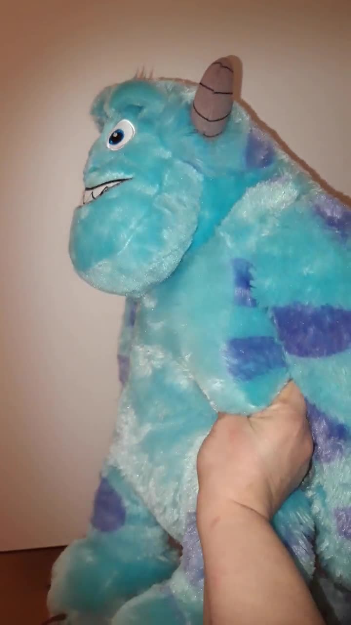 モンスターズインクのサリバン・サリー。ディズニー／ピクサーの大きな