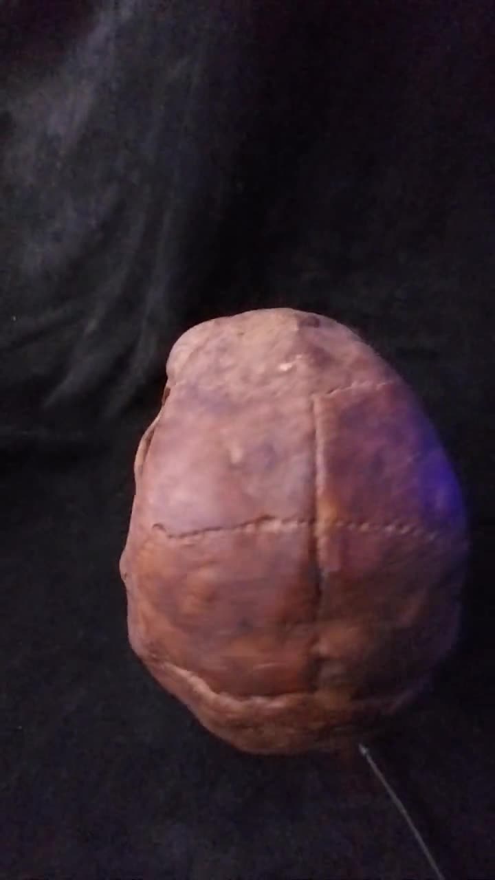 20240424_163054_mrsssx.jpg