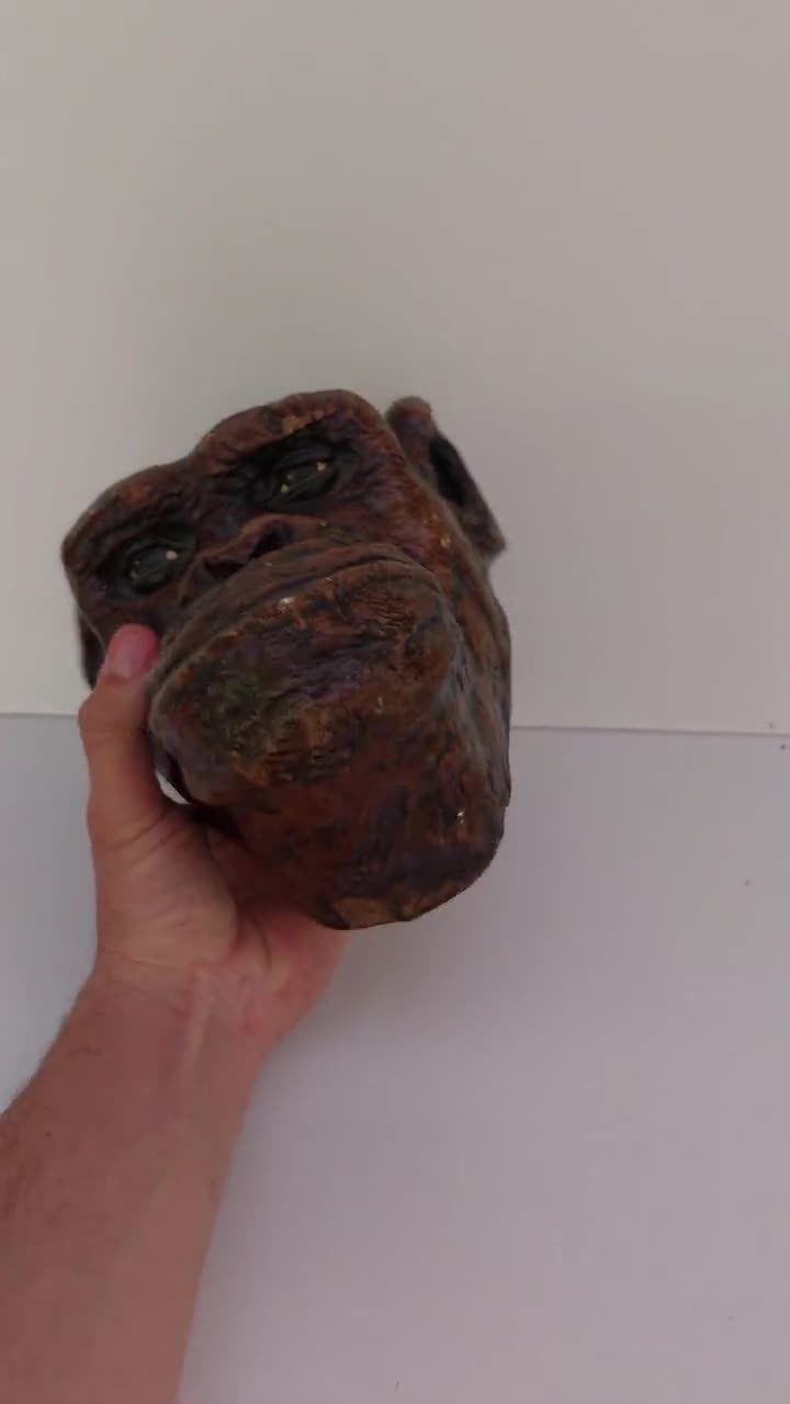 Gypsum Chimpanzee Head, Great Real Monkey Face, Wall Decor, Unique