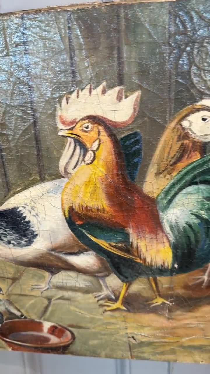 雄鶏、雌鶏、鳩を描いたアンティークの油絵習作 - Etsy 日本