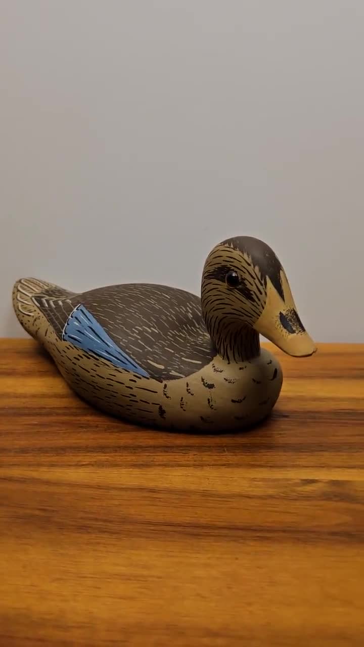 マガモの雌鳥 ワイルドファウラー オリジナル ダック コ デコイ
