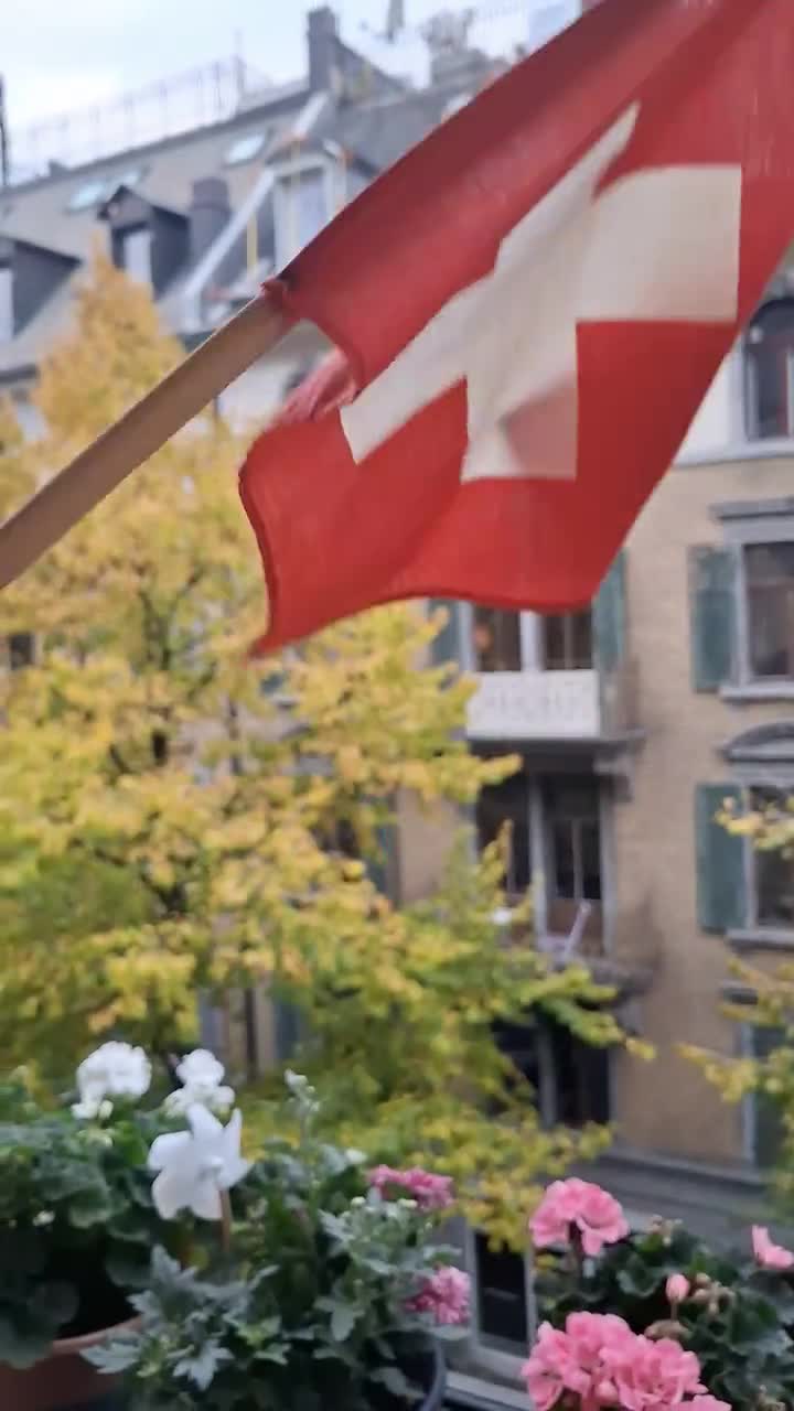 スイスの古いヴィンテージ国旗 木製杖 スイス赤十字 オリジナル 1960