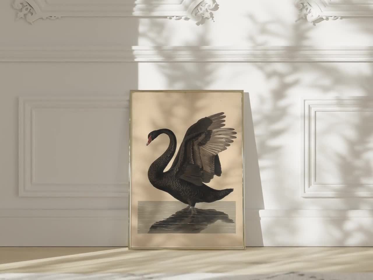 BoConcept ウォールアート「Black Swan」メタルプリント BoConcept - Mural