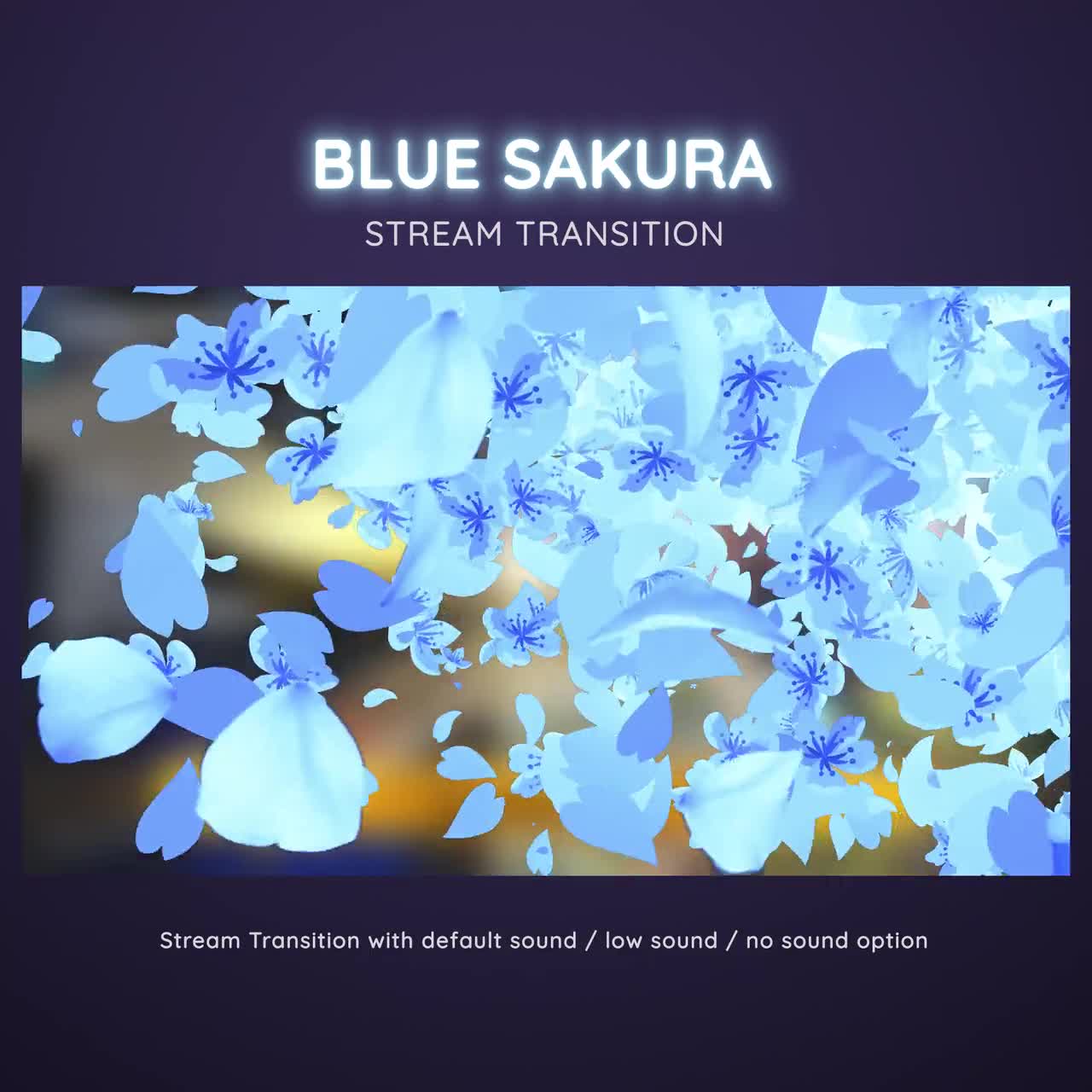 Blue_Sakura_Cherry_Blossom_Str