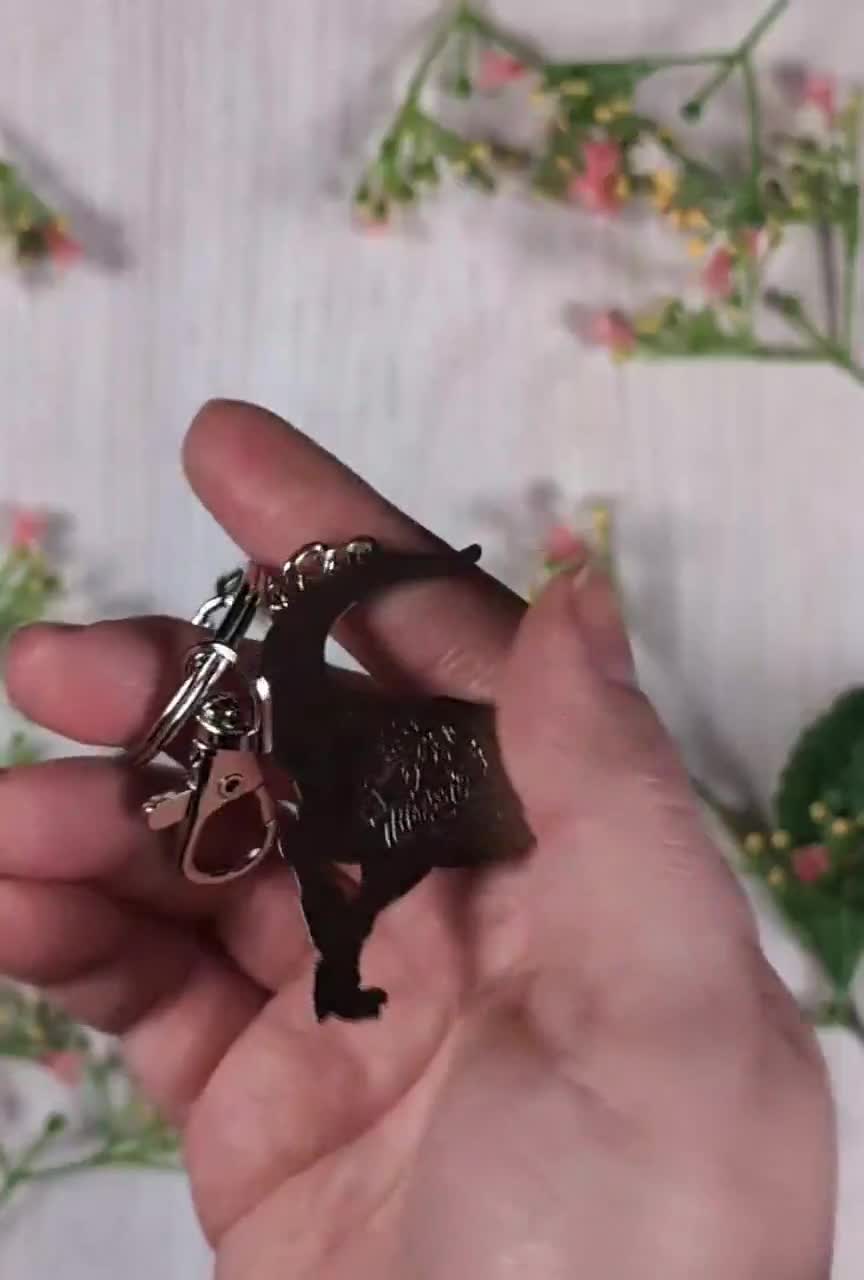 Carnotaurus Hard Enamel Keychain: Travelsaurus Dinosaur - Etsy