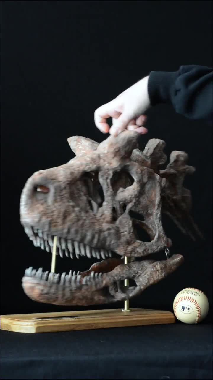 Carnotaurus_Etsy_15_Sec_qwvfbs.jpg