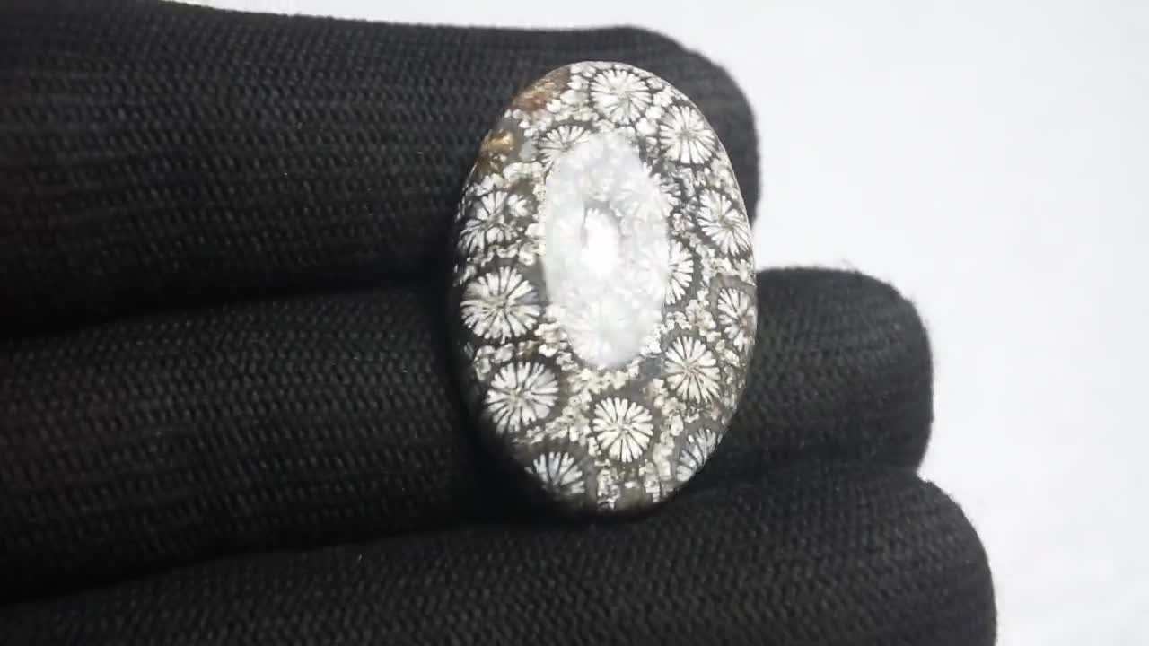 化石サンゴ宝石：手磨き石（31 x 21 x 6 mm） - Etsy 日本