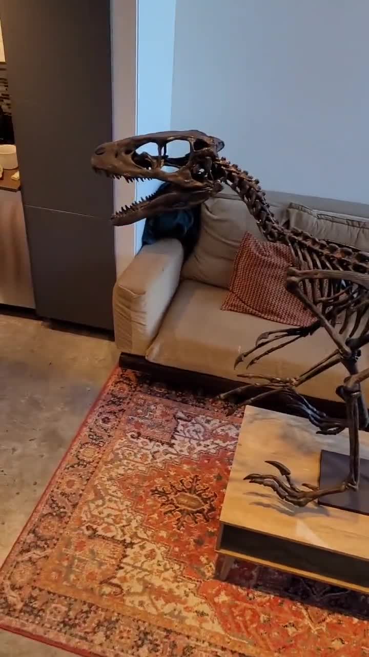 Life Sized Deinonychus Skeleton - Etsy Canada