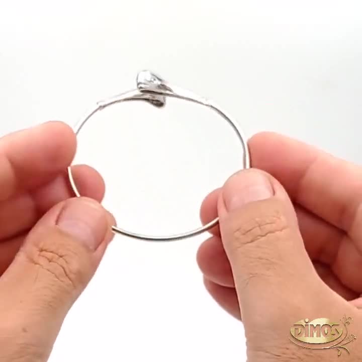 KABANA イルカモチーフ バングル 14K シルバー 316L イルカのごつめ