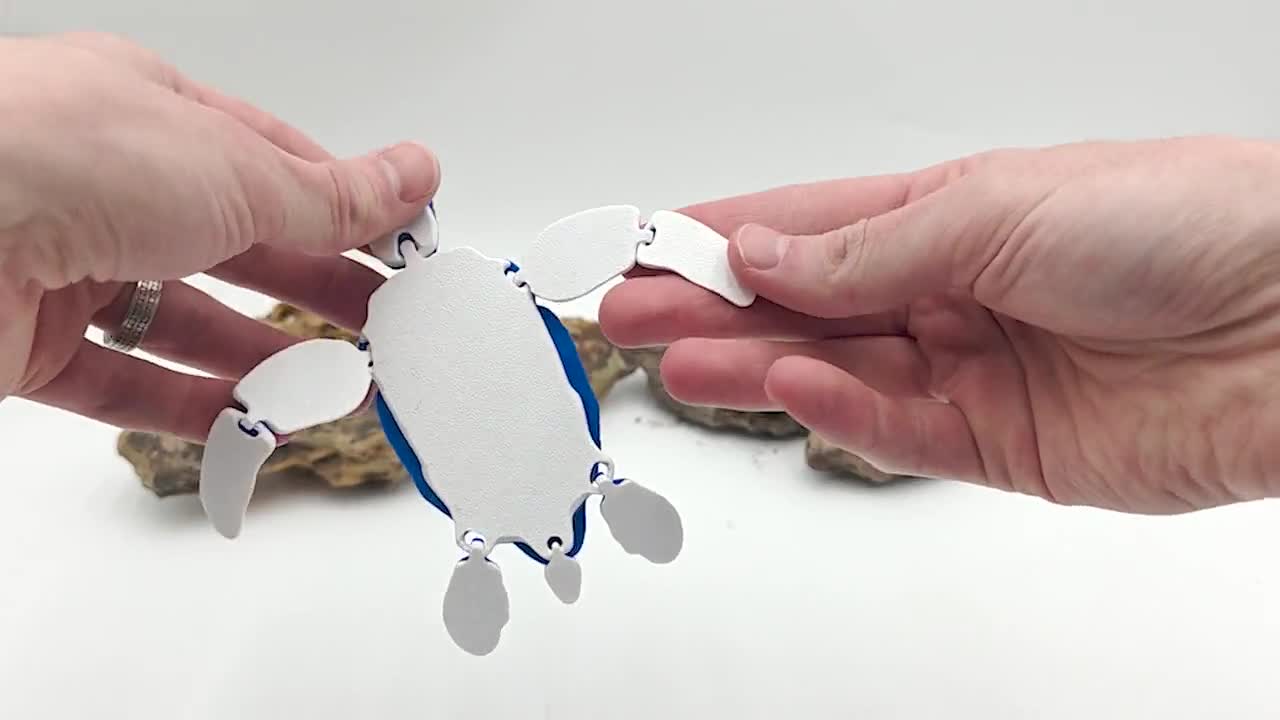 Articulated Leatherback Sea Turtle Fidget Toy - Flexible Miniature
