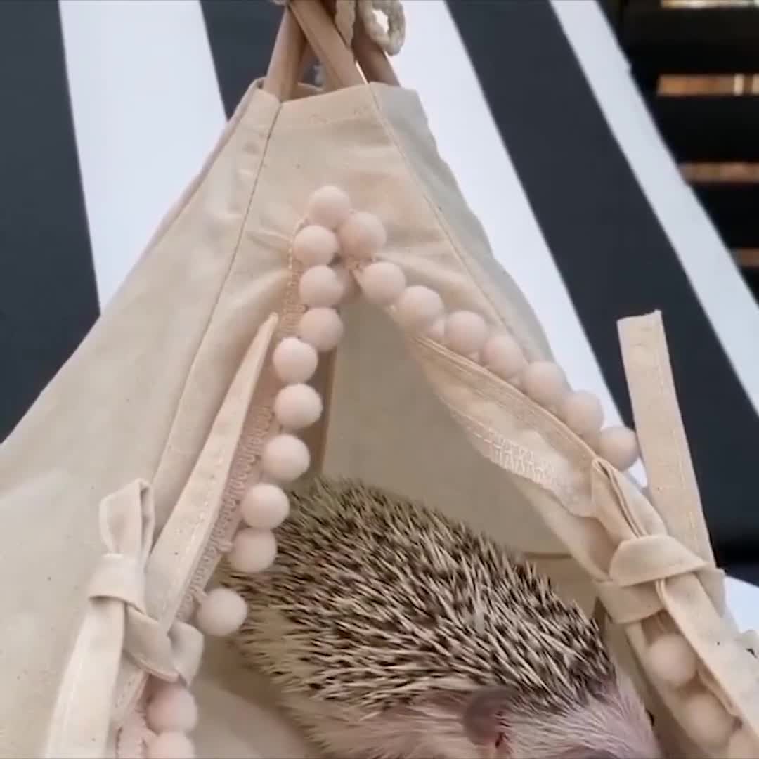 ハリネズミハウス　　うさぎ ハリネズミハウス、小動物用ハウス、モルモット用ベッド、ハリネズミ用