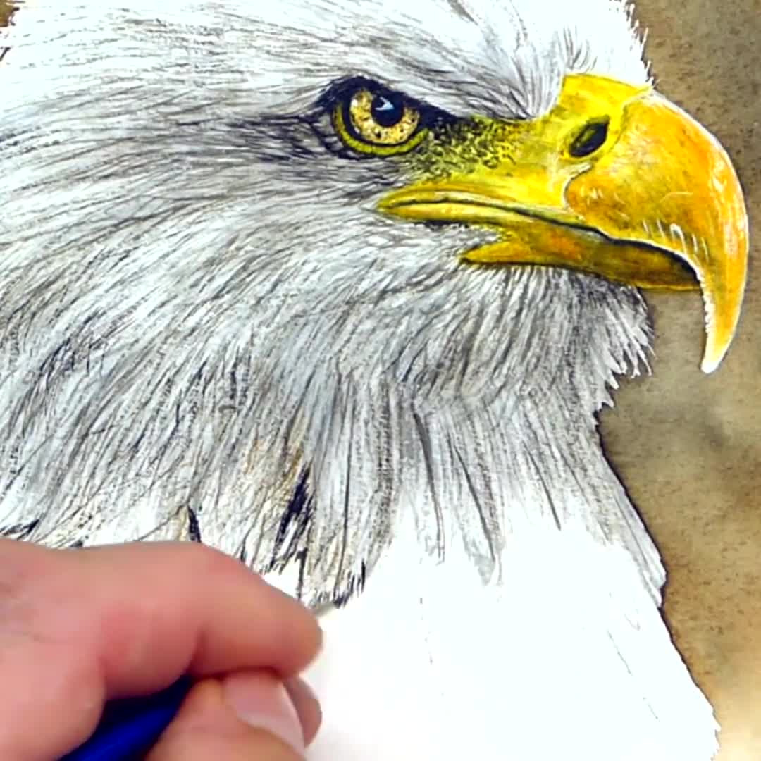 水彩画のワシの描き方チュートリアル：リアルな猛禽類のアート（PDF