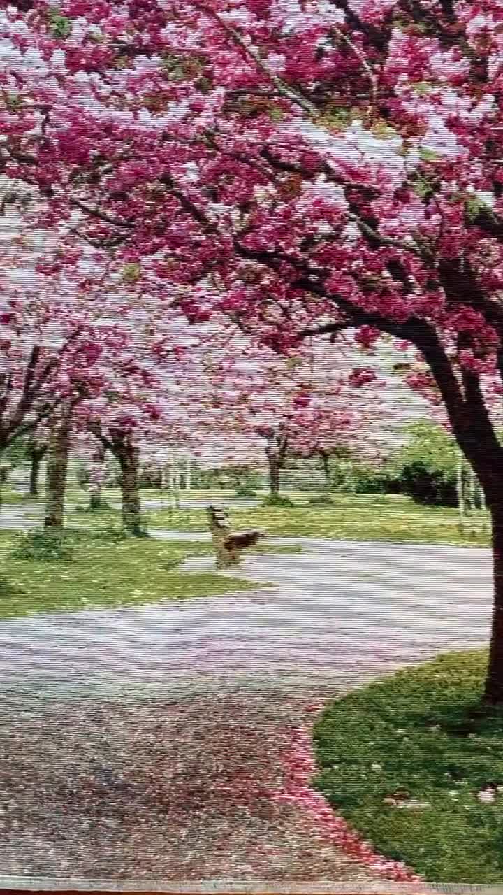 Sakura Tapestry Wall Hanging: Jacquard Woven Cherry Blossoms 53*35