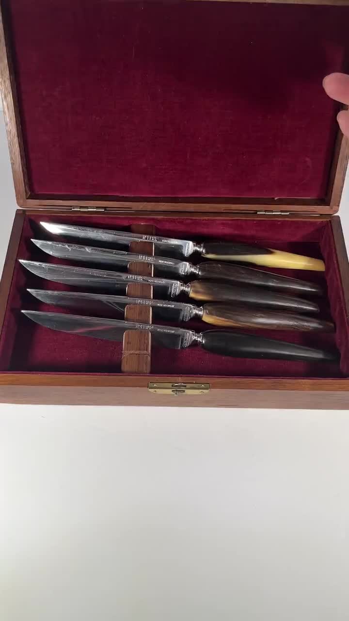 Vintage Hoffritz Horn Handle Steak Knives – Stainless Steel Set of
