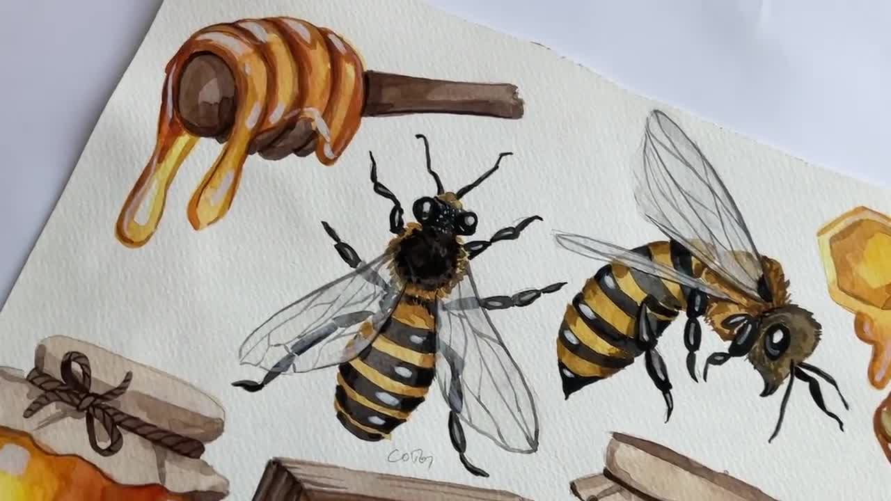 水彩画のハチミツのクリップアート：ミツバチ、ハニカム、手描きの