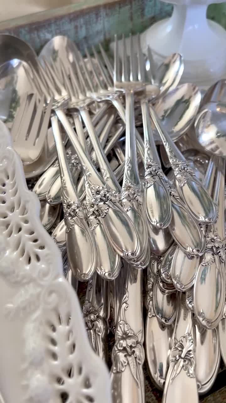 Oneida Community Silver Plate Silverplated 63 Piece Flatware Set