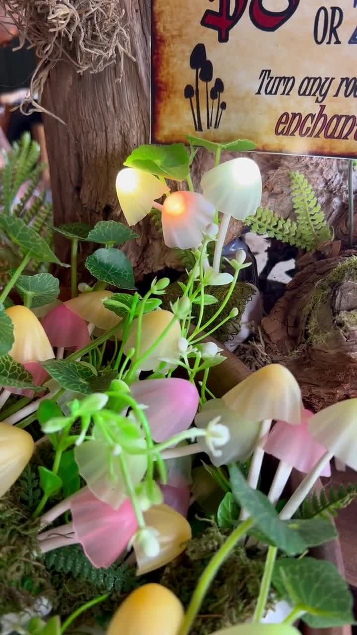魔法のキノコ型LEDナイトライト：色が変わる魔法の森 - Etsy 日本