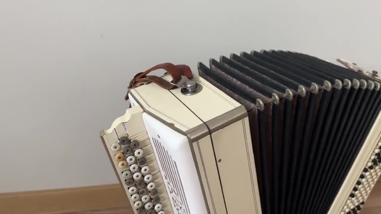 1950年代のアンティーク木製バヤン、シングルソリッドリードプレート