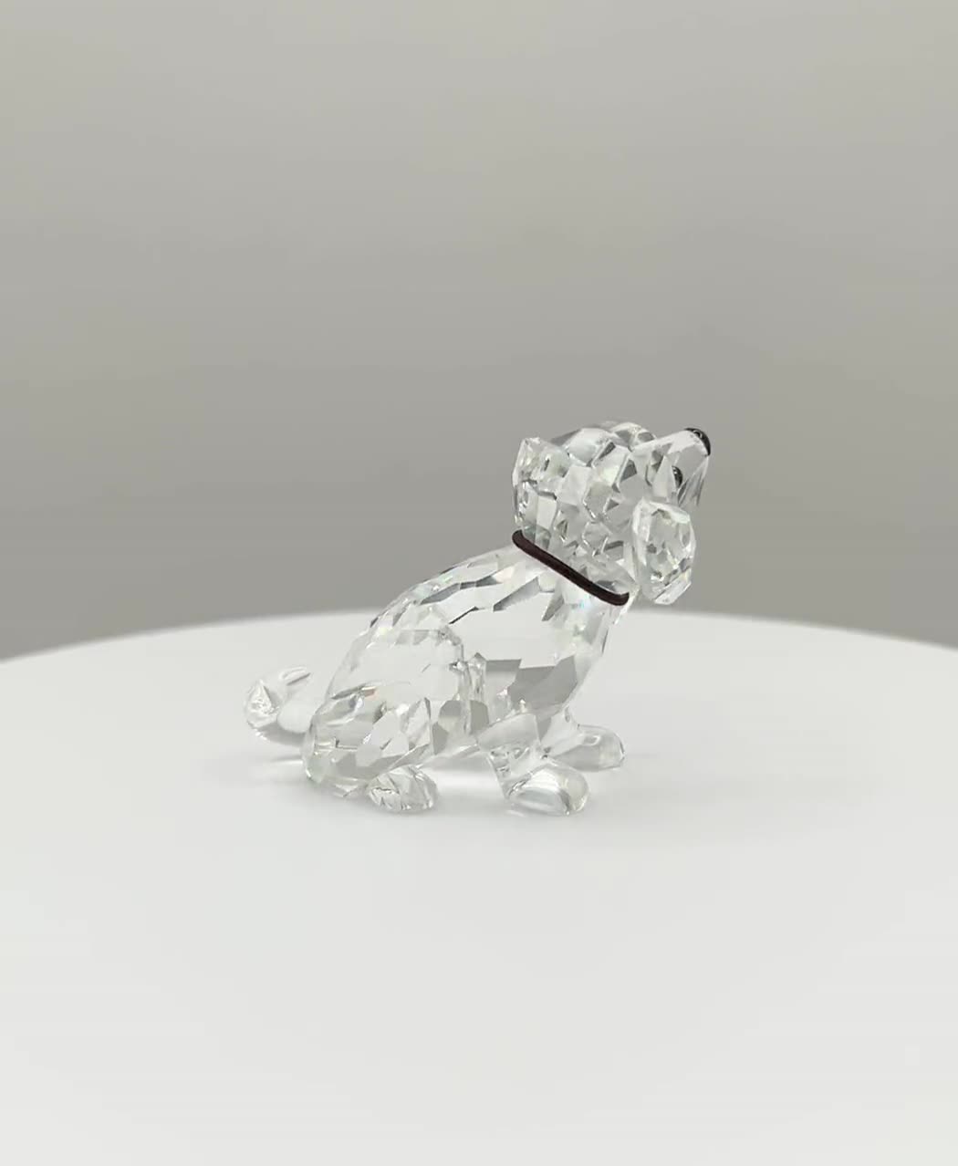 Swarovski St. Bernard #7619-006 - Etsy
