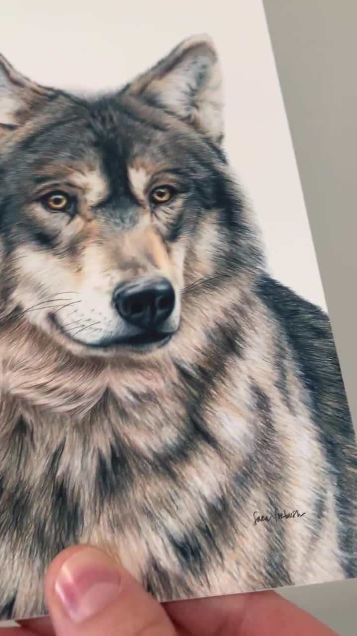 狼の色鉛筆画 縦プリント - Etsy 日本
