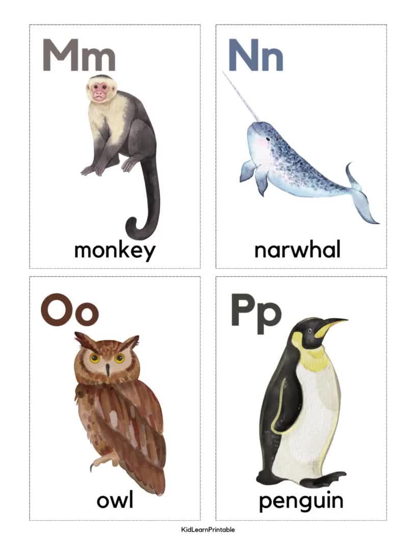 Wild Animals Flashcards,jungle Animals Alphabet,wild Animals