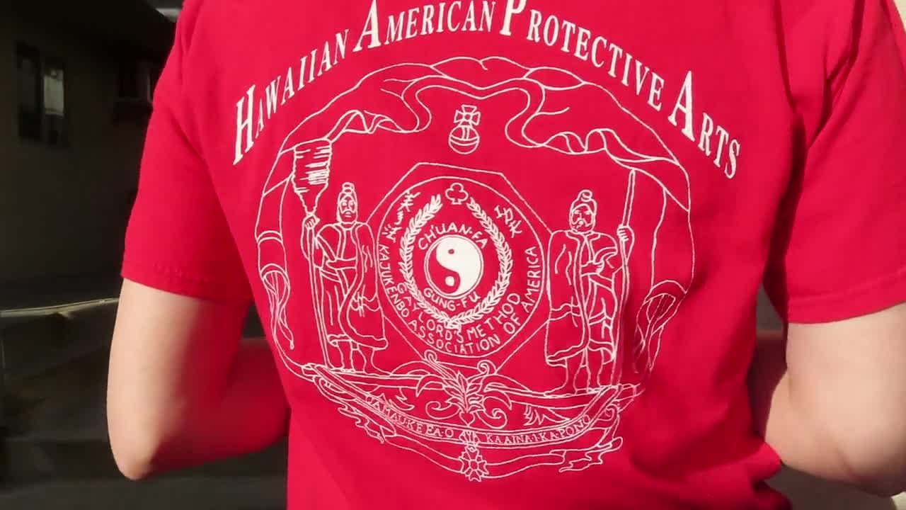 1990年代の格闘技Tシャツ、赤、ハワイ語、陰陽、防具、ゲイロードの