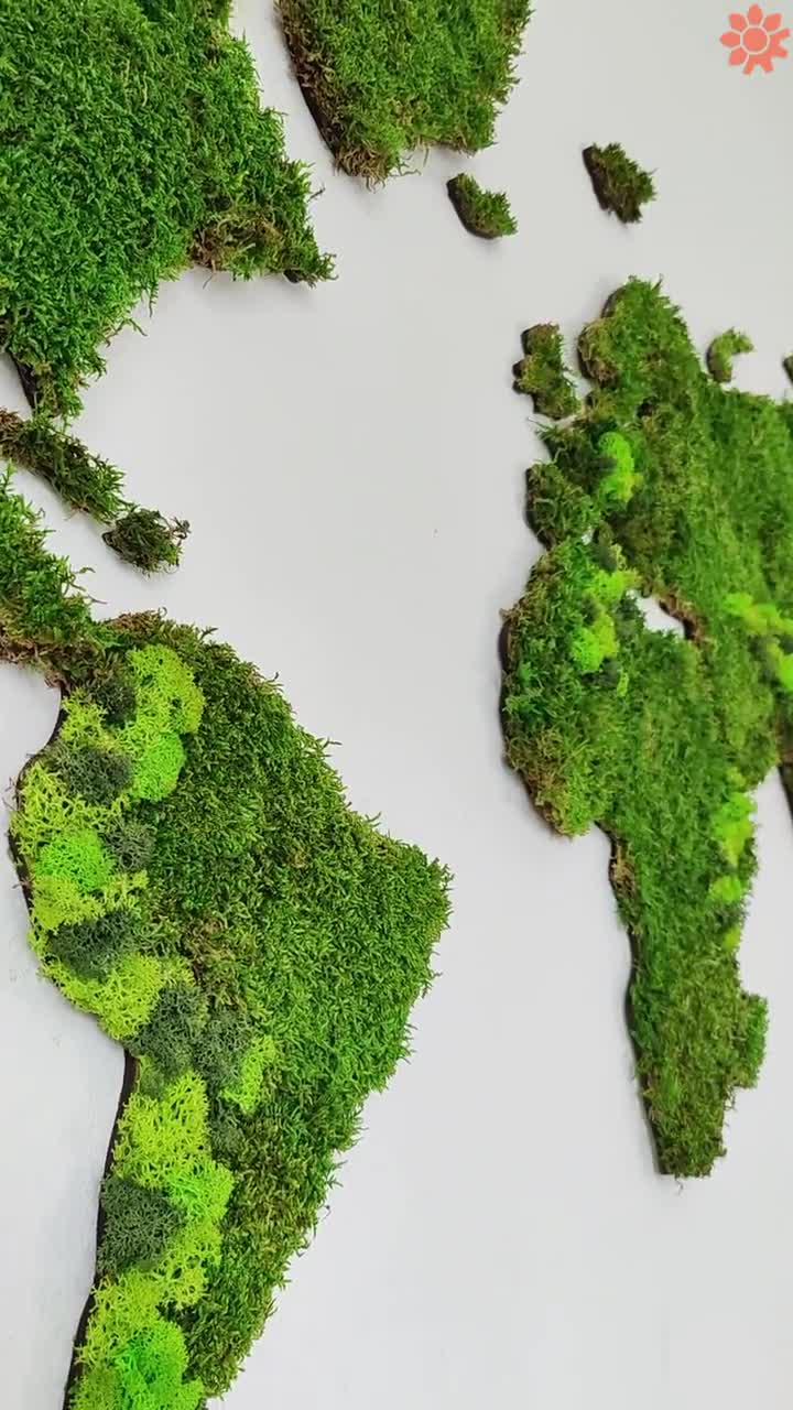 苔マップ、苔の世界地図、苔の壁、苔の装飾、垂直庭園、苔アート
