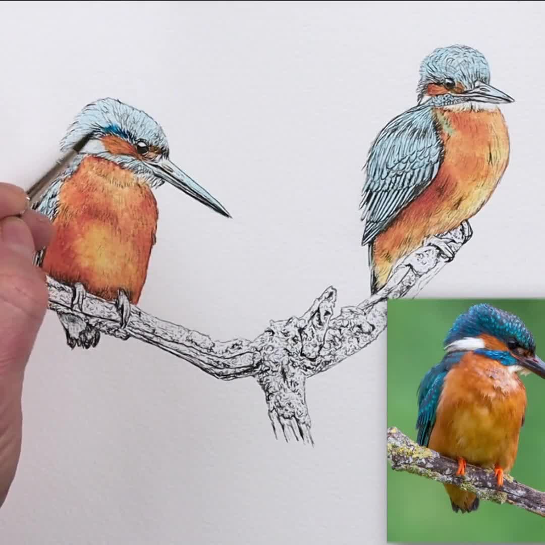 オリジナルのペン＆ウォッシュカワセミの絵画、インクの鳥の絵、リアル
