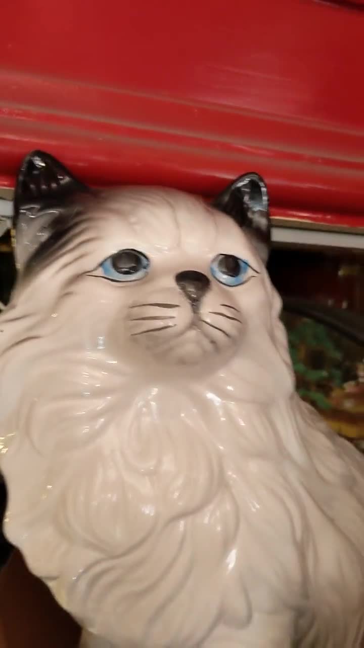 ヴィンテージ 猫 磁器 1950 年代 青い目 // 巨大な猫のフィギュア