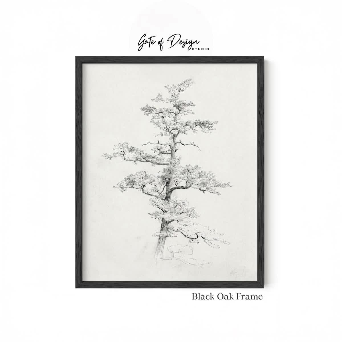 Pine Tree Wall Art Framed Tree Sketch Japandi Nature Print Wabi