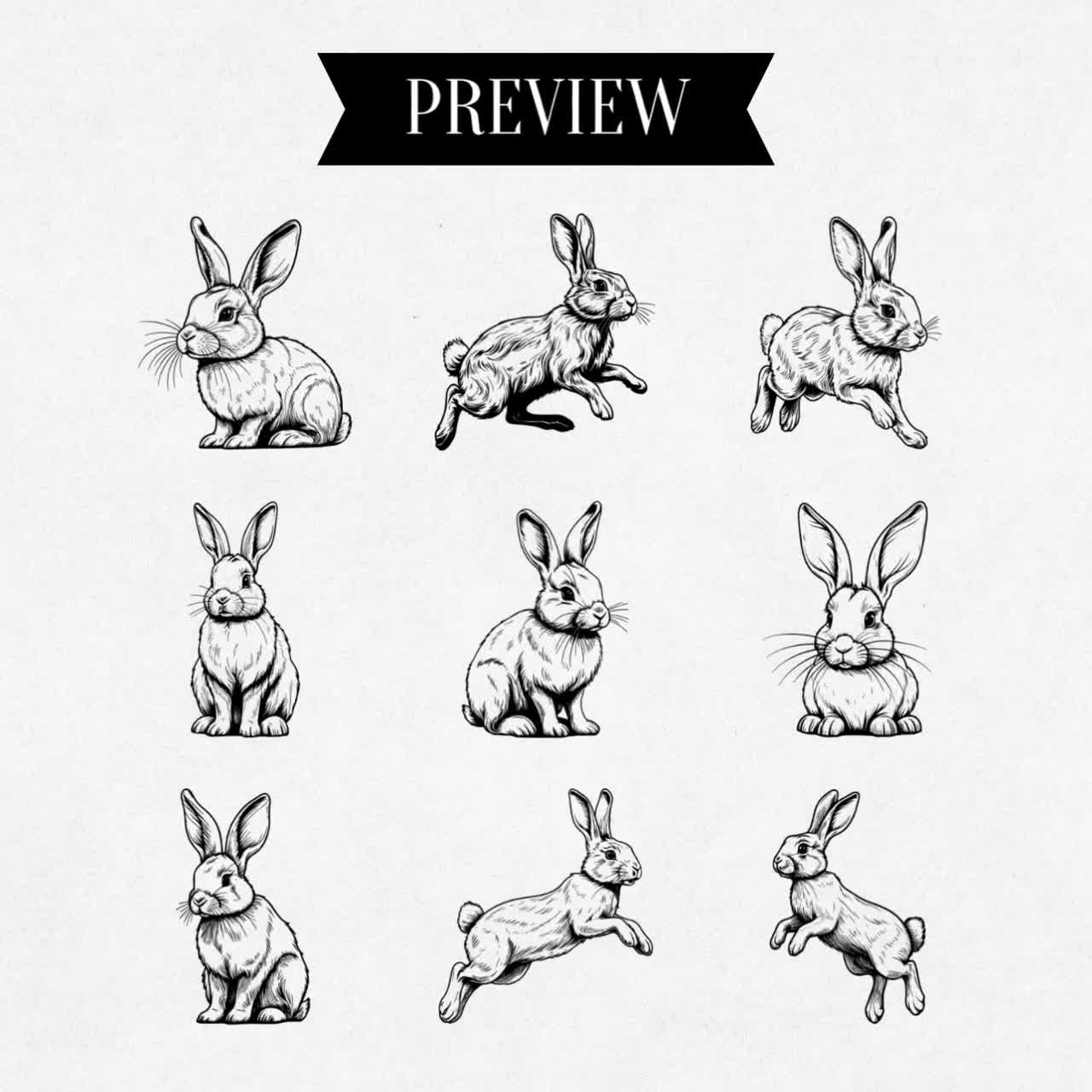 Preview_Rabbit_Vector_Bundle_l