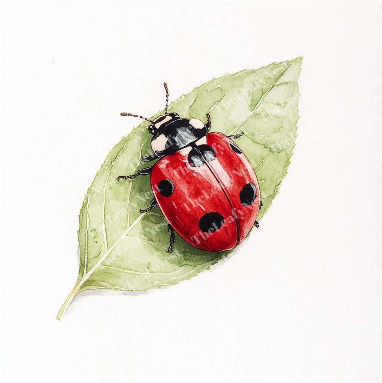 葉っぱの上のてんとう虫のクリップアート14点、緑の葉っぱの上の赤い虫