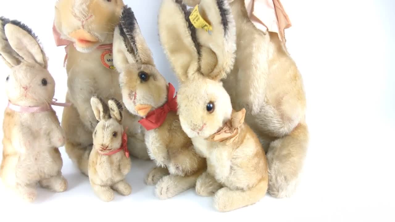 Steiff Rabbit Bunny Manni All Ids Begging Large 18 Inches Vintage