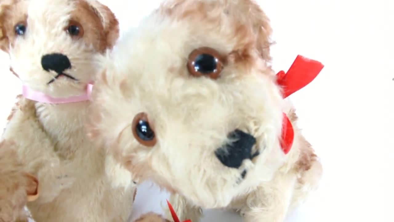 Steiff Puppy Dog Molly With Ids 1966 to 1967 Vintage Smallest 4