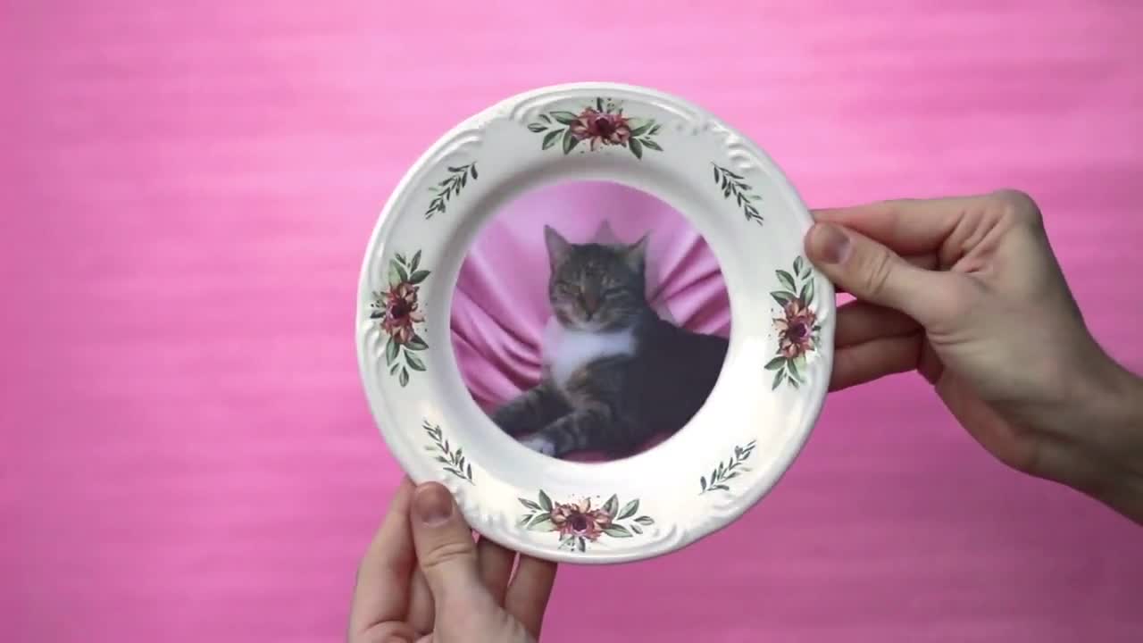 アンブリッジの猫プレートDIYキット：レンチキュラームービング