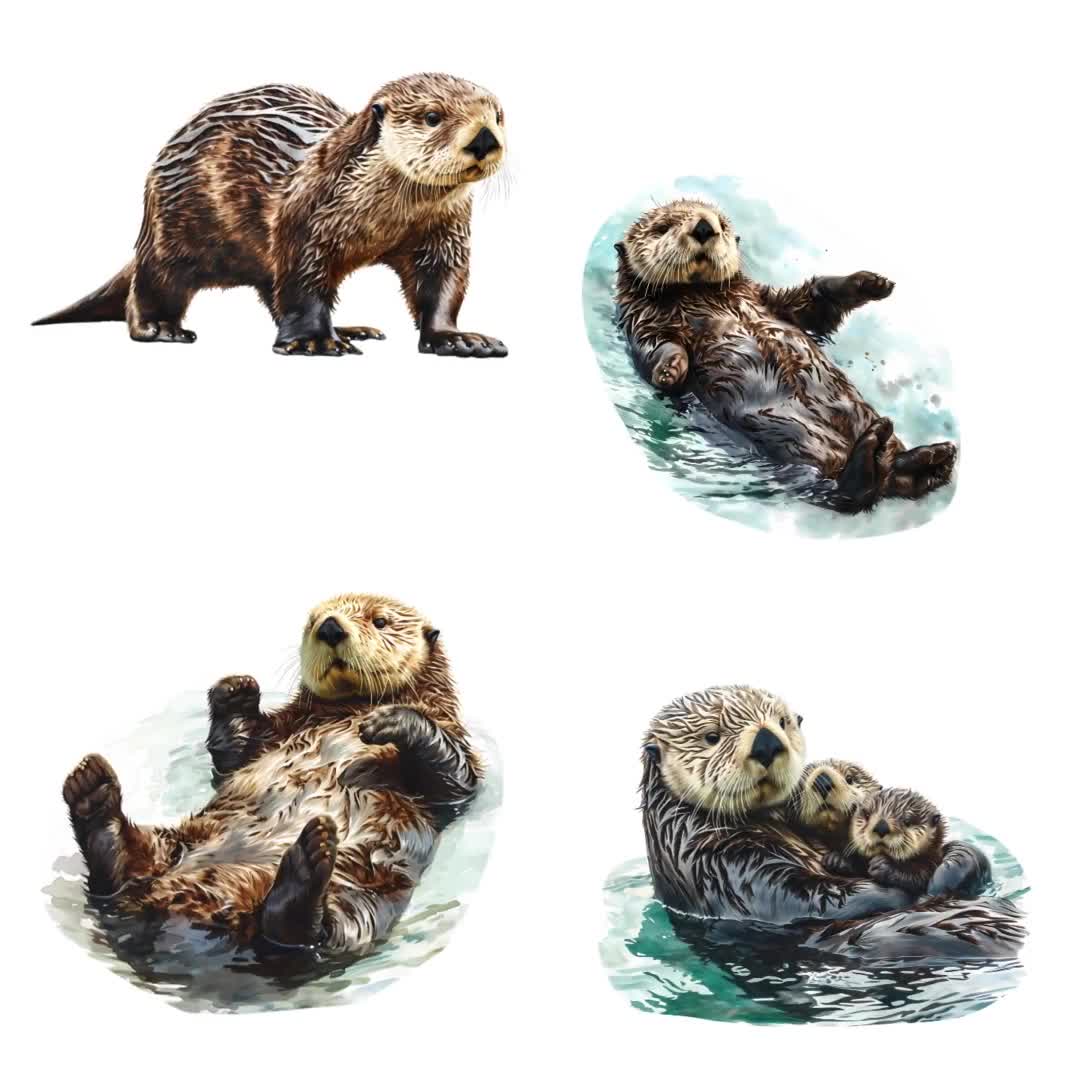 ラッコの野生動物の水彩画クリップアート透明な背景デジタル