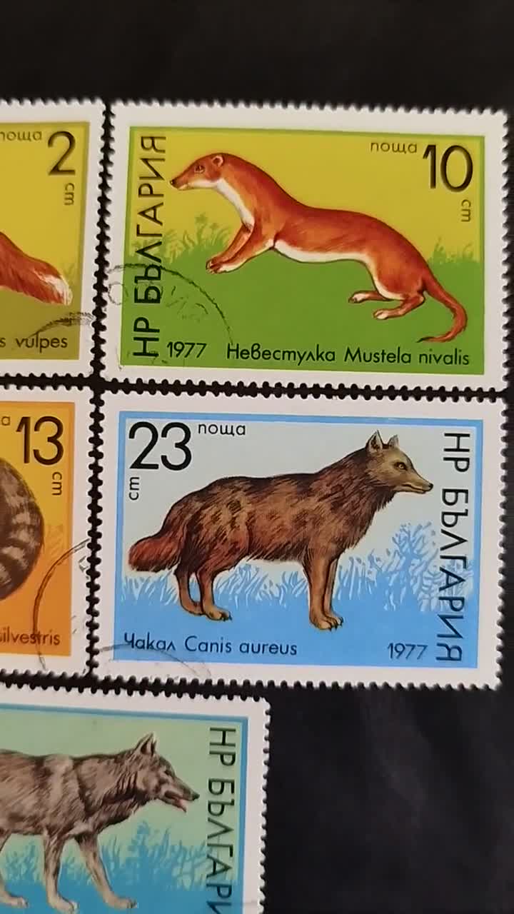 マダガスカル 1999年 動物切手: ヴィンテージ切手収集 - Etsy 日本