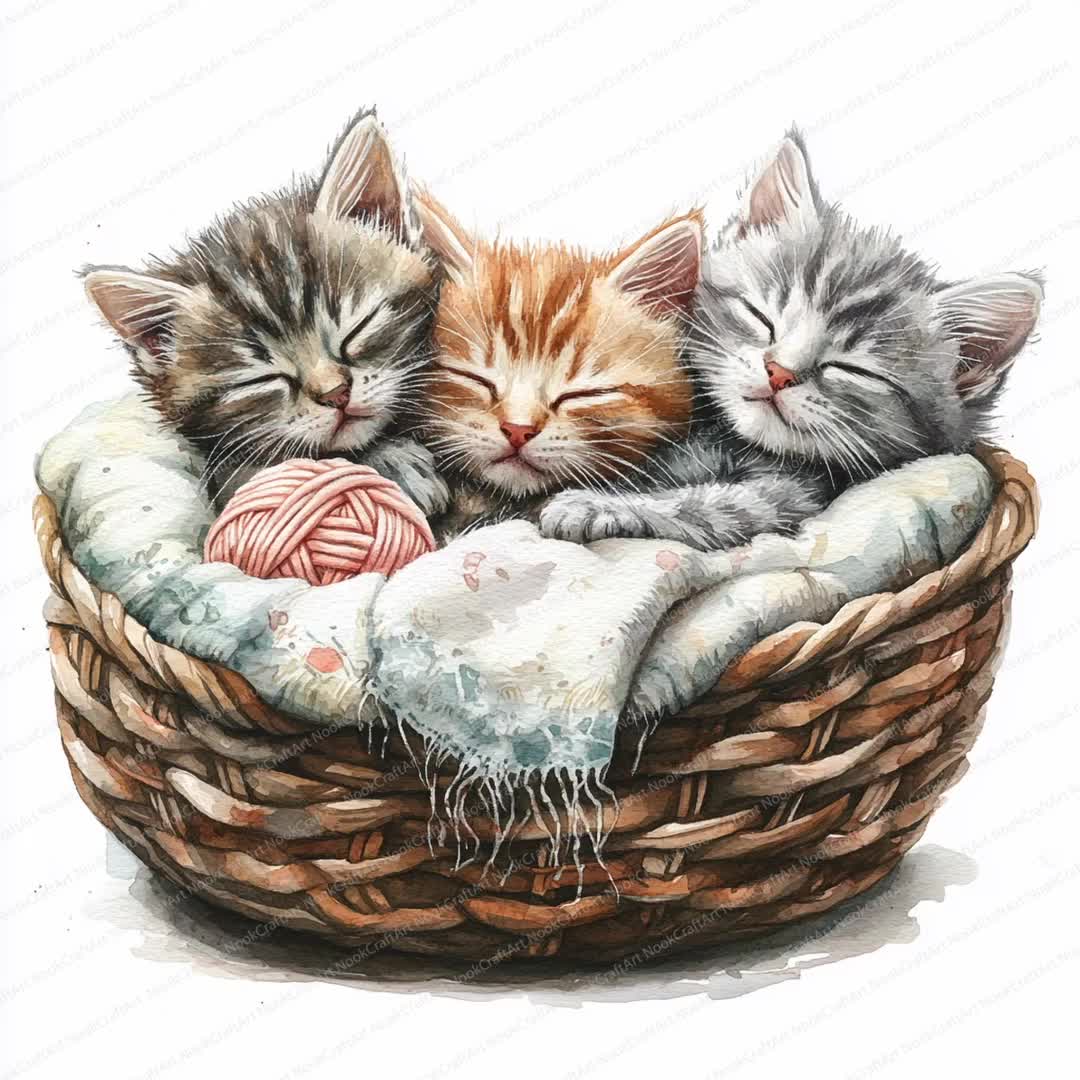 18 猫の家族のクリップアート | かごの中のかわいい子猫のイラスト