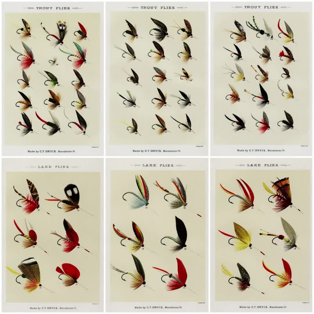 Vintage Fishing Fly Illustrations: Restored Fly-fishing Art