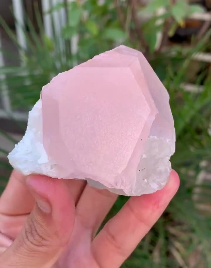 アフガニスタン鉱山産天然ピンクモルガナイト結晶、天然鉱物、原石